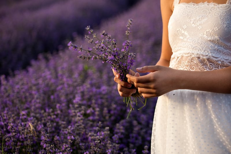 Romantic Gardens